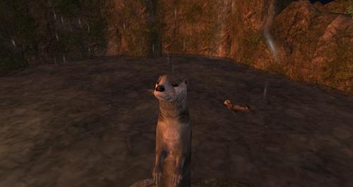 Web 5f10c953d9859c0f9dc29abb