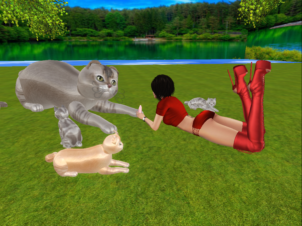 Original 58bb37d3f8a1ec3c1a000001