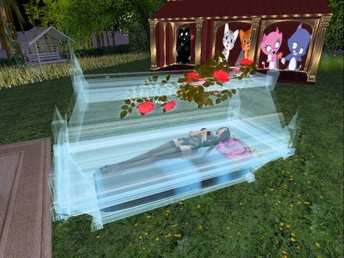 Web 58264d49e85cda58bc000001