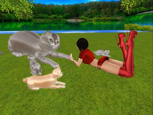 Web 58bb37d3f8a1ec3c1a000001