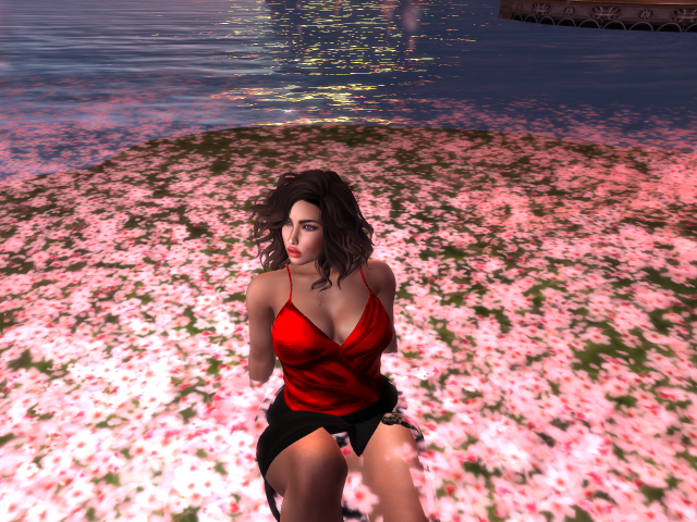 Original 5a45538373ed173ece000001