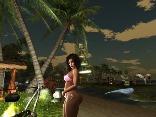 Web 5a2c3713d9859c6e5d000001