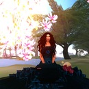 Thumb 56e4f925f8a1ec0a9d000001