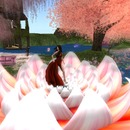 Thumb 561f8fe1128cc92277000001