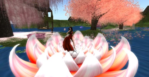 Web 561f8fe1128cc92277000001