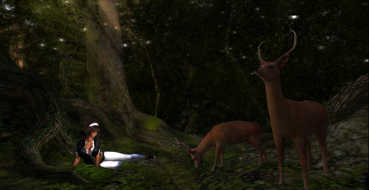 Original 56ffb6299934e05273000001