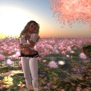 Thumb 56db6846e85cda5ded000001