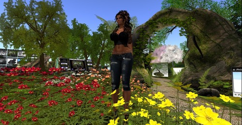 Web 56e5ac87f8a1ec2944000001