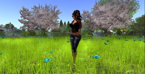 Web 56e840fdb713f733d1000001