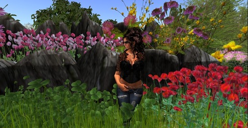 Web 56e841f2e85cda3fd2000001