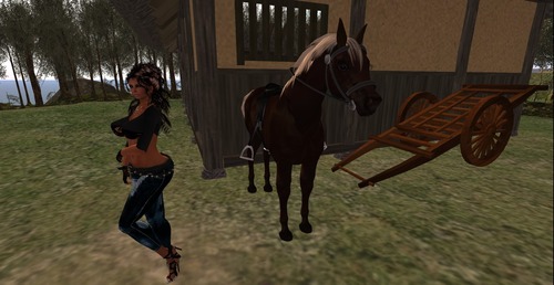 Web 56ef9144e85cda27e3000001