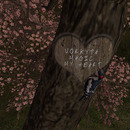 Thumb 641f002c991483518af1f6f1