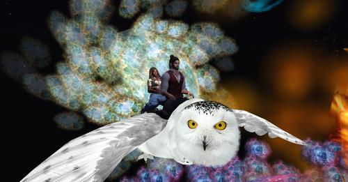 Web 6339e3ed80ec3a0c727b6e1b