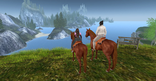 Web 633c77e078bfa43663a64eeb