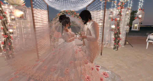 Web 645a7e0b05423f681007fc00