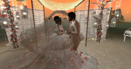 Web 645a7f152b47cb3c9180c7c6