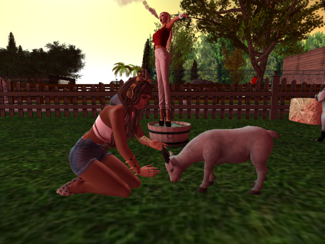 Original 576834abb015407855000001