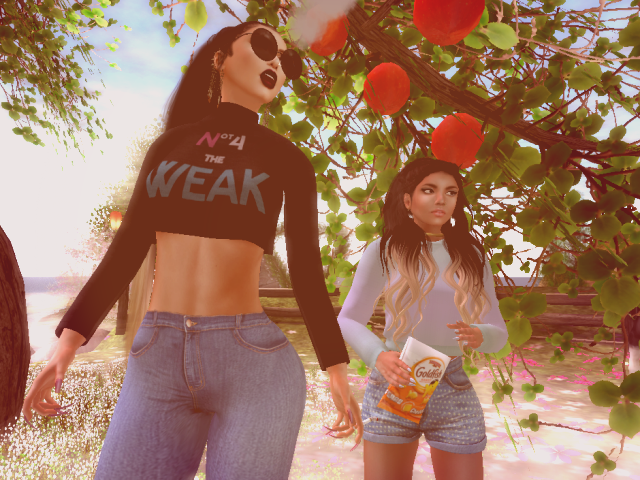 Original 5775c087e85cda2b6c000001