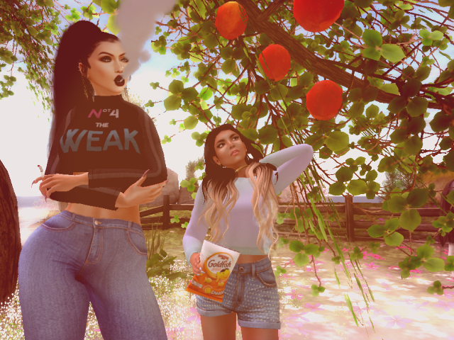 Original 5775c0ecb713f704bb000001