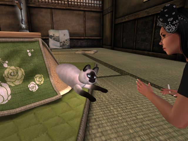 Original 58e21340289dd23d56000001