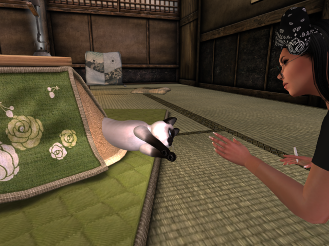 Original 58e21341289dd23e33000001