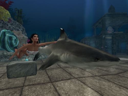 Web 575b2d1eb713f72252000001