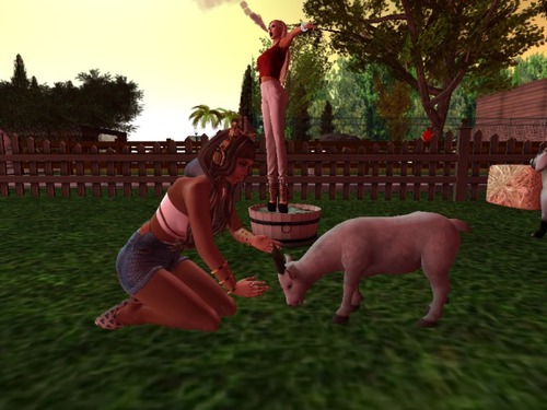 Web 576834abb015407855000001