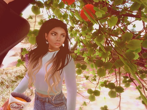 Web 5775c12be85cda307c000001