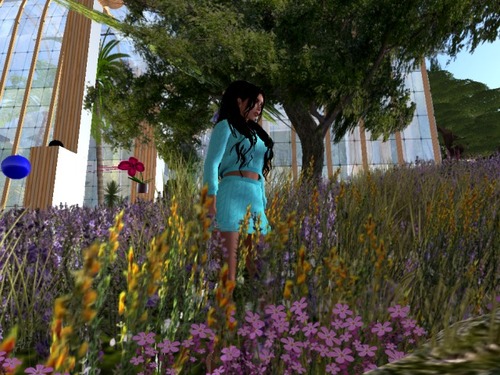 Web 578665fcf8a1ec17ee000001