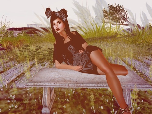 Web 57e8265fe85cda3479000001