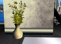 Small 56ab63bf3f942f153d000001