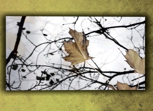 Web 56ab63a776408b39d6000001