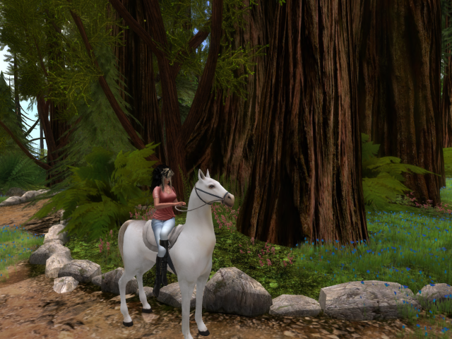 Original 598a48b673ed176813000001