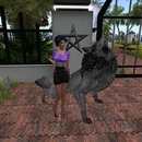 Thumb 58520d21b713f70c6e000001