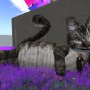 Thumb 5a10d1d273ed172214000001