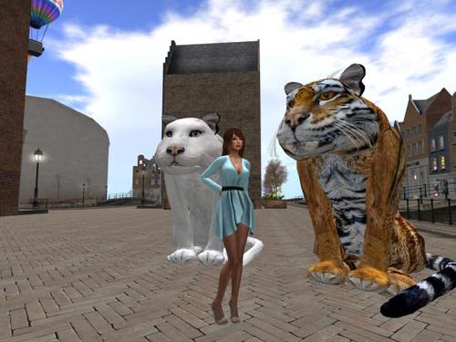 Web 58d4567cd9859c6d24000001