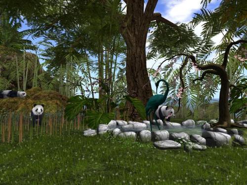 Web 58ded56d289dd20efd000001