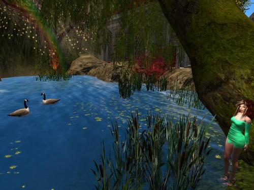 Web 5985a0fc73ed17636c000001