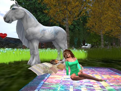 Web 5985aef7289dd25004000001