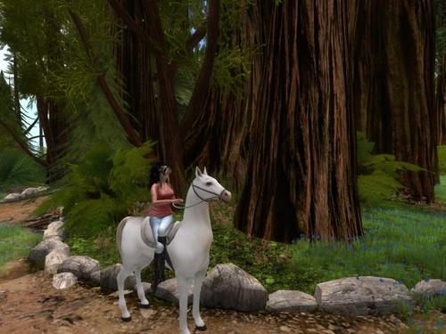 Web 598a48b673ed176813000001