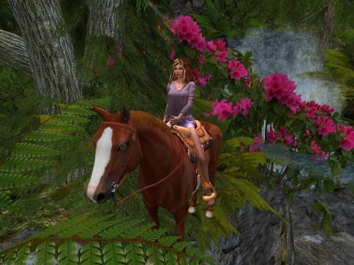 Web 598c9610289dd25ce0000001