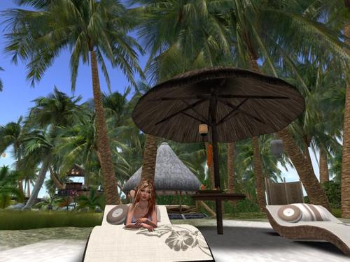 Web 599b89c4d774f84b22000001