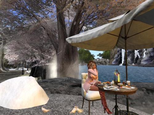 Web 5a44789a73ed176336000001