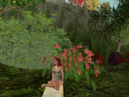 Web 5a6158a673ed1727a2000001