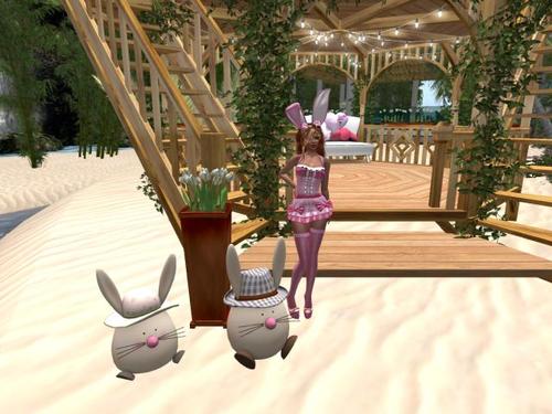 Web 5abbbd83d774f823af000001