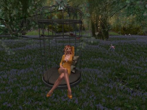 Web 5b6e2a0273ed170fc5000001