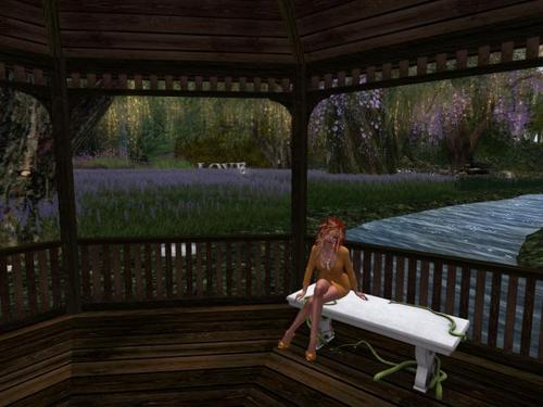 Web 5b6e3216289dd227ec000001