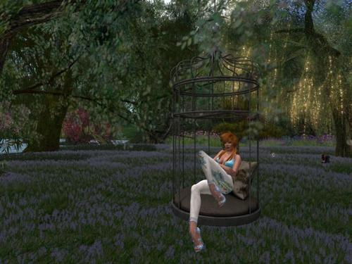 Web 5b948da173ed1704bf000001