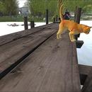 Thumb 5b51ffead774f80397000001