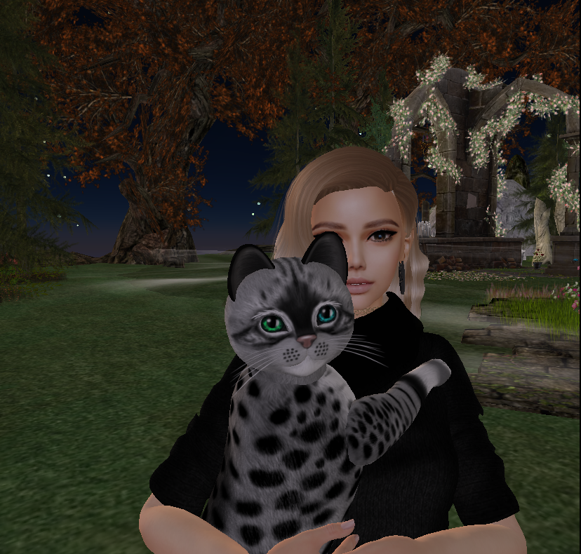 Original 5dc3df6ad9859c2cbd000001